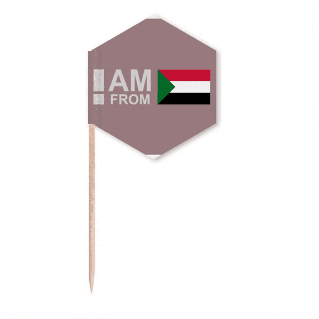 I Am From Sudan Art Deco Fashion Toothpick Flags Cupcake Picks Party Celebration
