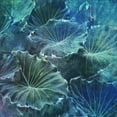 thumbnail image 2 of Lewis, Sheldon 20x20 White Modern Wood Framed Museum Art Print Titled - Mello Tropical 2, 2 of 4