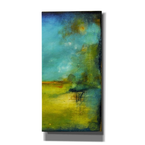 Epic Graffiti 'Midnight Jewel II' by Erin Ashley, Canvas Wall Art, 20"x40"