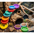 Hffheer Water Bowl for Reptiles, Sustainable, Rock Feeder Bowl, Turtle, Lizard Resin, Water Bowl, Reptiles, Terrarium, Food Bowl (S-Green Hffheer Water Bowl for Reptiles, Sustainable, Rock Feeder Bowl, Turtle, Lizard Resin, Water Bowl, Reptiles, Terrarium, Food Bowl (S-Green