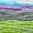 Ghidora, variant on Lion Brand Yarn Mandala Multicolor Light DK Acrylic 3 Pack Yarn