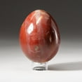 thumbnail image 3 of Polished Petrified Wood Egg from Madagascar (1.2 lbs), 3 of 3