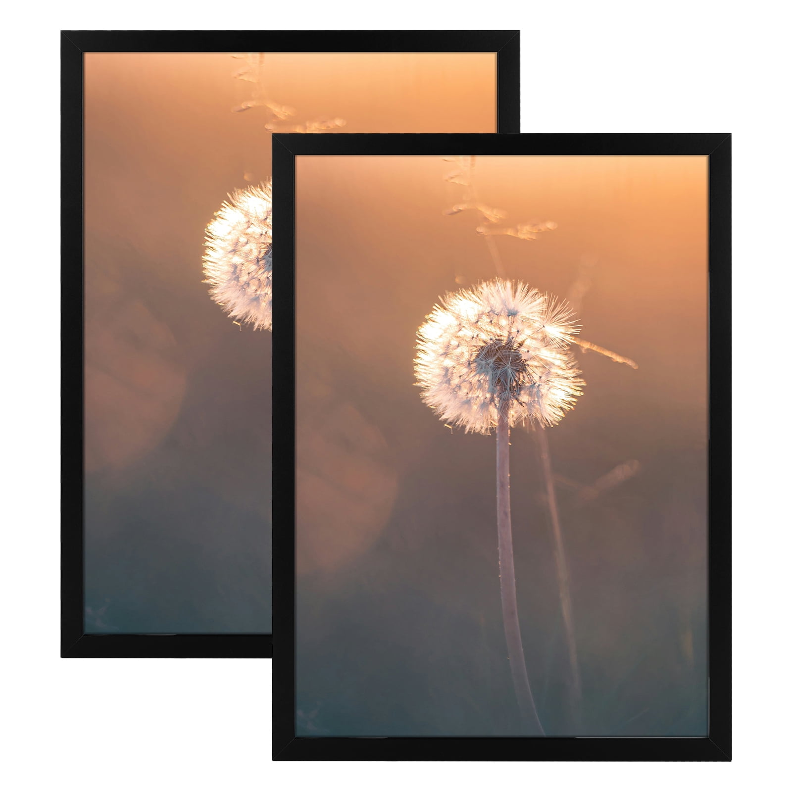 Golden State Art 16.5 in x 23.4 in Black Picture Frames 2 Set
