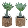 thumbnail image 1 of Mini plantas artificiales en macetas suculentas, adornos pequeños creativos para interiores, flores artificiales de plástico, 2 uds., 1 of 5