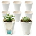 thumbnail image 1 of SYITCUN 5in Self Watering Planter 5 set,Plastic Self Watering Planters with Visual Water Level Window,Plant Pots Indoor,Window Box Planter,, 1 of 7