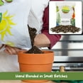 thumbnail image 4 of Tropical House Plant Potting Mix (2 Quarts); for All Types of Indoor House Plants, 4 of 9
