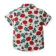 thumbnail image 5 of Hihipz Toddler Boys Polo Shirt Floral Print Shirts Hawaii Beach Casual Summer Tops,Sizes 12-18M, 5 of 5