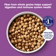 thumbnail image 4 of Nature's Recipe Lamb, Barley & Brown Rice Adult Dry Dog Food, 4 lb. Bag, 4 of 11
