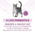thumbnail image 5 of Purina ONE Plus Whole Body Support With Chicken Dry Cat Food, 16 lb., 5 of 8