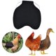 thumbnail image 4 of 3 piezas de silla de montar para pollo, ropa para mascotas, delantal para gallina, arnés para aves de corral, suministros protectores de respaldo con plumas, 4 of 5