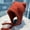 Brick Red (Plush), variant on Women's Winter Hat with Ears & Pom-Pom - Soft Elastic Ear Muffs, Slouchy Beanie for Large Head, Cute Bunny-like for Cold Weather, Hand Washable (Face-Flattering Fit) - Cozy Gift for & Women