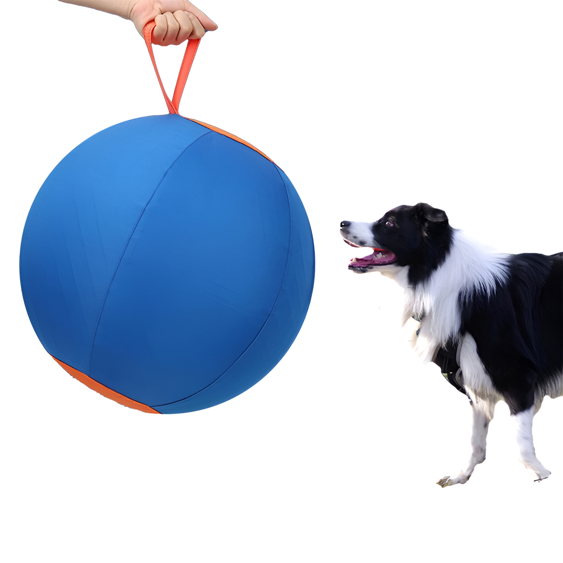 BESTSKY 2026 New Horse Herding Ball - 25" Cover with Straps,Australian Shepherd,Cattle Dogs,Collie & Herding Dog,Giant Jolly Ball for Play for Exercise,Fetch,Herding,Outdoor Play