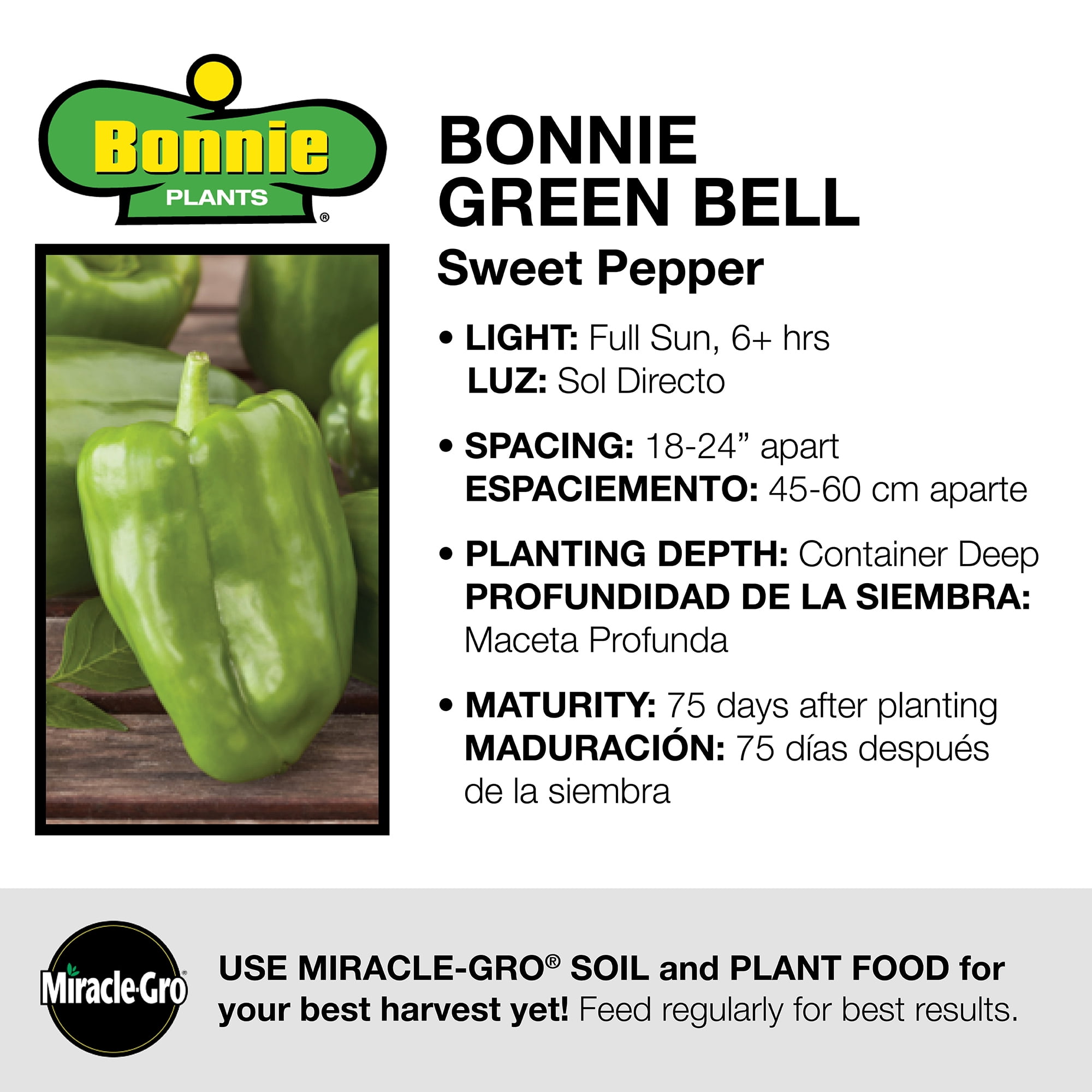 Bonnie Plants Green Sweet Bell Pepper 19.3 oz.