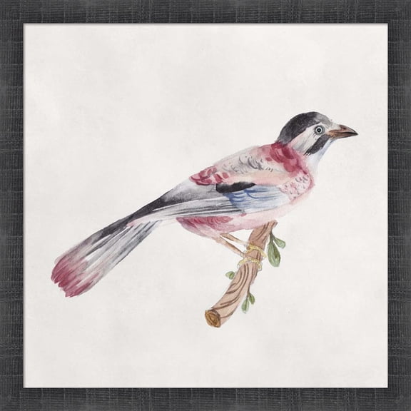 Great Art Now Bird Sketch I by Melissa Wang, Framed Wall Art, 17.5W x 17.5H