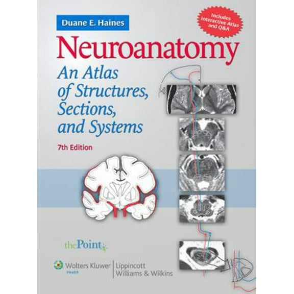 Pre-Owned Neuroanatomy: An Atlas of Structures, Sections, and Systems (Neuroanatomy: An Atlas of Strutures, Sections, and Systems (Haines)) (Paperback) 0781763282 9780781763288