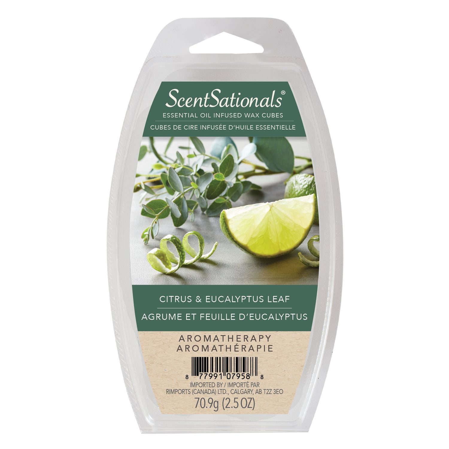 ScentSationals Scented Essential Oil Wax Cubes - Citrus & Eucalyptus Leaf