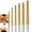 6pcs, variant on Titanium-Coated High-Speed Steel Six-Piece Metalworking Tool Set, Carbon Steel 6-Piece Metalworking Tool Set, 6counts Metalworking Ldeal,Titanium-Plated High Speed Steel Drill Bits Set,6pcs/1set