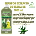 thumbnail image 2 of Bergamota + Sábila Mix 1000 VIVONATURAL. Shampoo Aceite de Bergamota 1000 ml + Shampoo Extracto de Sábila 1000 ml, 2 of 5