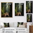 thumbnail image 4 of Designart "Canada Cathedral Grove Calm" Canada Floater Framed Canvas Print, 4 of 7