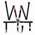 thumbnail image 5 of Racequip 841001RQP Camlock 2" SFI 16.1 5-Point Harness with Pull Down Lap Belt, 5 of 7