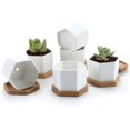 thumbnail image 1 of Lucoss 6 Pack 2.76 Inch Succulent Pots - Small Succulent Planters, Set of 6 White Ceramic Succulent Cactus Plant Pots with Bamboo Tray(Plants NOT Included), 1 of 8