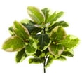 thumbnail image 3 of Nearly Natural Green 23” Rubber Leaf Artificial Plant (Real Touch), Set of 3, 3 of 3