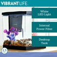 thumbnail image 4 of Vibrant Life Betta View Aquarium Starter Kit, Small, 1.5 Gallon, 4 of 9