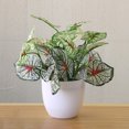 thumbnail image 4 of Cheers Fresh Artificial Foliage Plant Pot Bonsai Party Mall Home Desktop Office Decor, 4 of 7