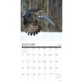 thumbnail image 3 of Owls 2024 12 X 12 Wall Calendar (Home of Office Calendar) Willow Creek Press, 3 of 4