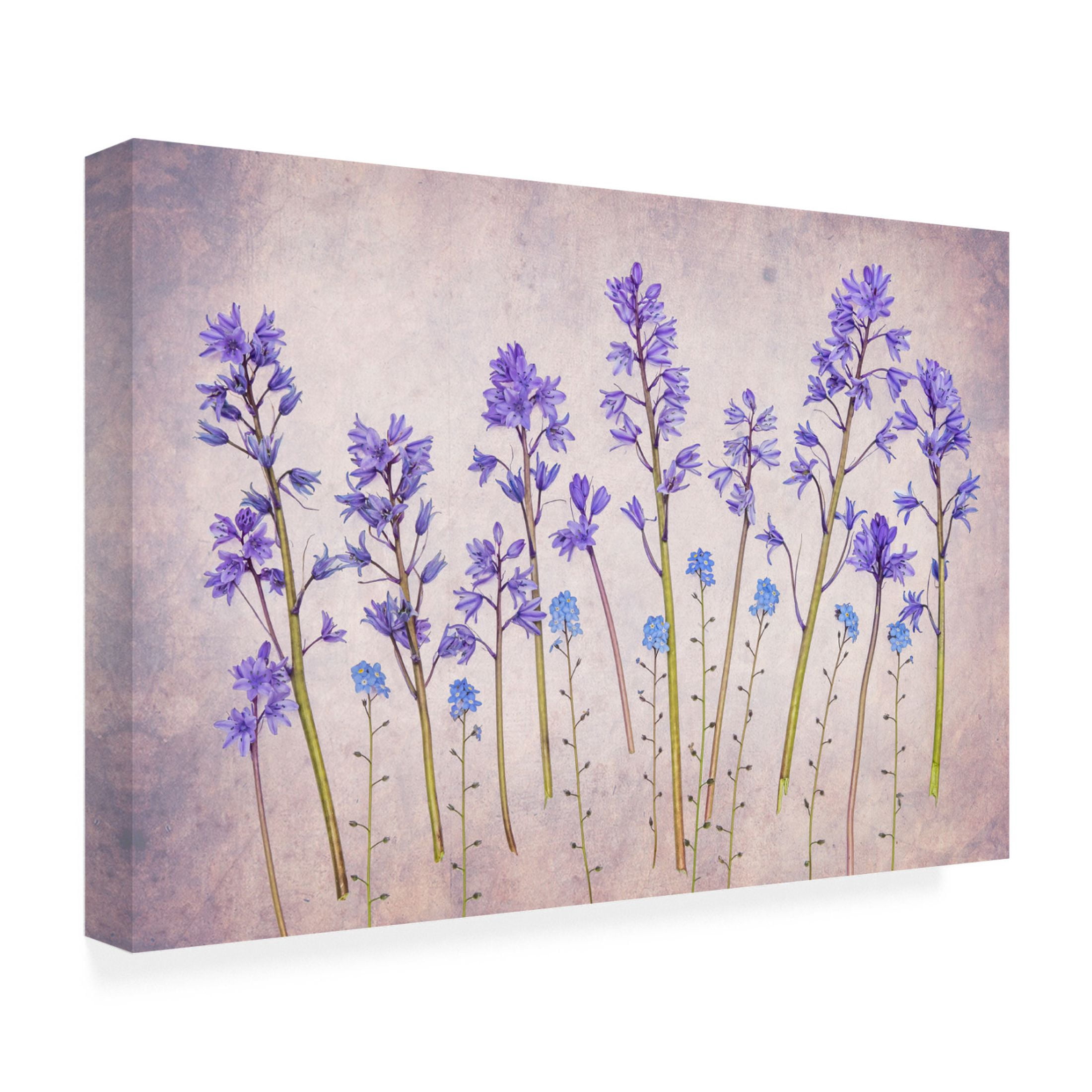 Trademark Fine Art Hardik Pandya Untitled Canvas Wall Art