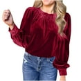 thumbnail image 2 of Eiyaclvo Women's Vintage Velvet Tops Trendy Puff Long Sleeve Crewneck Tunic Tops Comfy Velour Pullover Elegant Casual Solid Color Shirts, 2 of 8