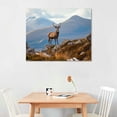 thumbnail image 2 of JRXY Wild Stag Scottish Highlands Canvas Wall Art Picture Print 20x16in, 2 of 4