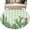 Light Green, variant on Green Cactus Tropical Area Rugs 2.7'x5', Washable Small Throw Rugs for Kitchen Bedroom, Summer Vintage Botanical Indoor Outdoor Rug Non-Slip Low Pile Carpet Runner Reversible Floor Mats