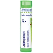 Boiron Ledum Palustre 6X, Homeopathic Medicine for Insect Bites Or Bruising Relief, 80 Pellets