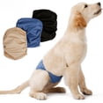 thumbnail image 3 of Pantalones antiacoso para perros, ropa interior impermeable y lavable, suministros para mascotas, cinturón de sujeción para perros, 3 of 4