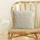 thumbnail image 1 of Paquete De 2 Fundas De Almohada Decorativas De Terciopelo De Lana Corta De Felpa Suave Funda De Cojín De Estilo Lujoso Funda De Almohada Para Sofá Dormitorio Cuadrado Beige Muyoka Hogar, 1 of 6