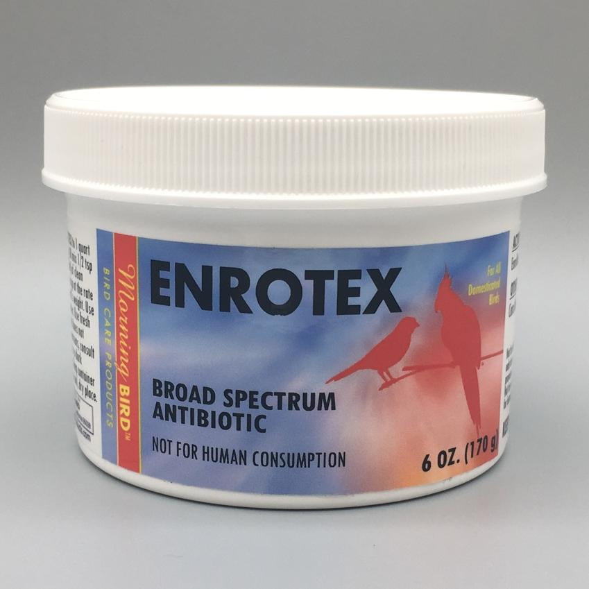 Morning Bird Enrotex Antibiotic Formula for Birds