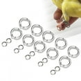thumbnail image 4 of 10Pcs Bird Parrots, Outdoor Fly Training Activity Jewelry Box Latch Leg  Swings Small Chest Latches Opening Clip Accessories 6, 4 of 8