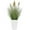 Green Abstract Asymmetrical 12" x 12" x 20", variant on DecMode 19" Artificial Onion Grass Plant in Black Plastic Pot