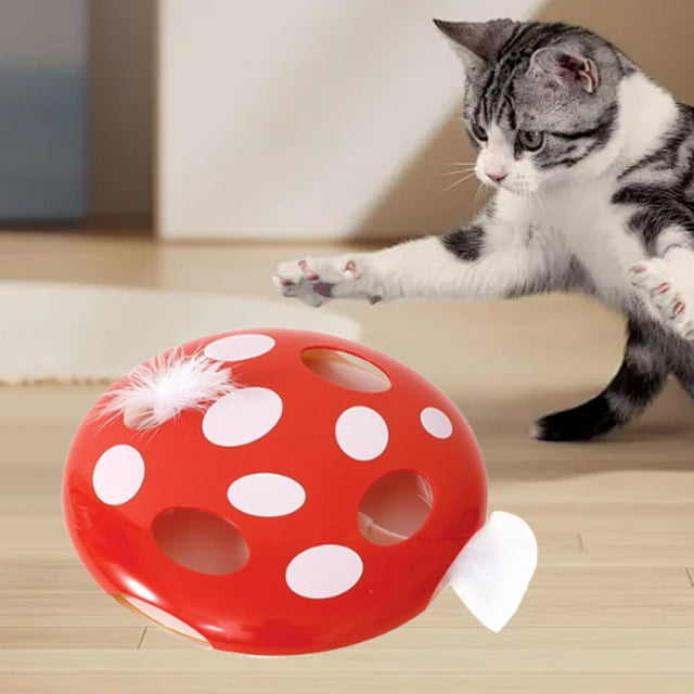 Juguete eléctrico para gatos, juguete interactivo portátil, y divertido para entrenar y entretener gatos pequeños, medianos . Rojo