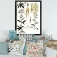 thumbnail image 3 of Designart 'Ancient Plant Life VIII' Farmhouse Framed Art Print, 3 of 4