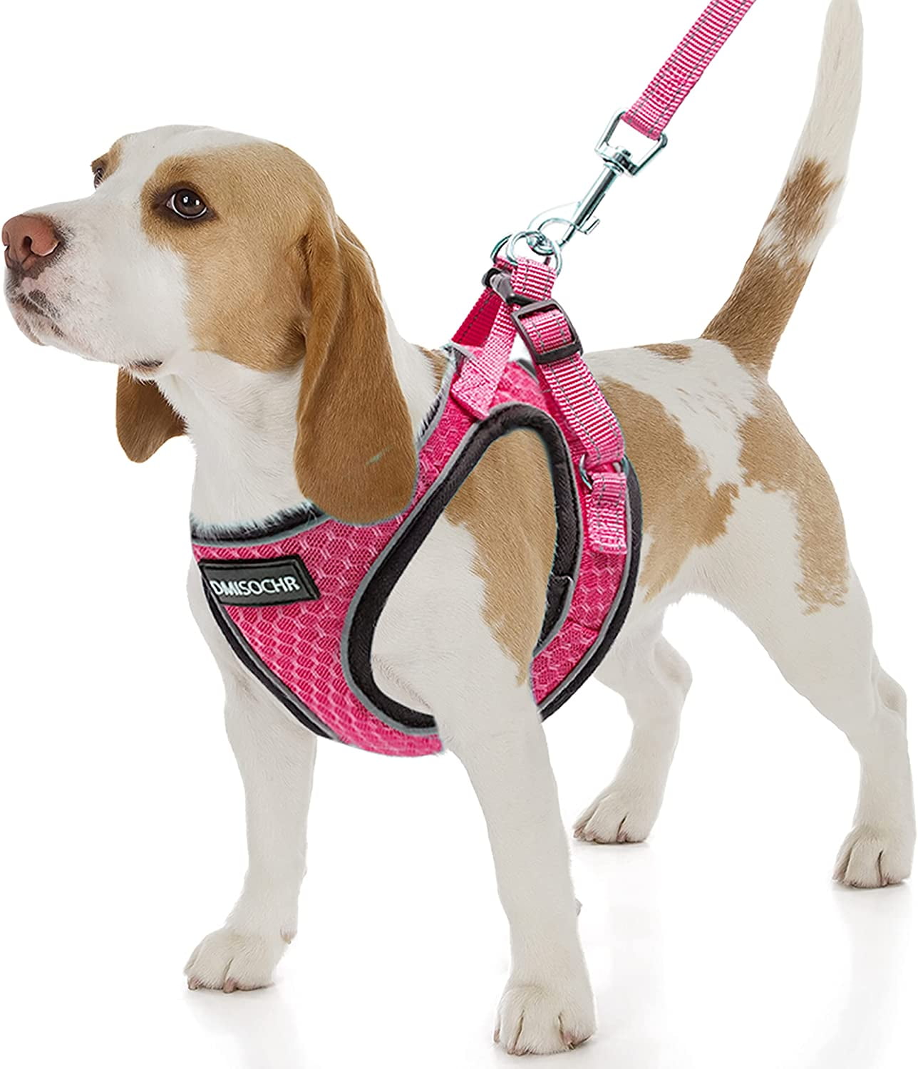 Bmatwk Small Dog Harness and Leash Set Reflective Adjustable Safety