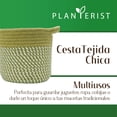 thumbnail image 2 of Planterist Cesta Organizadora Chica Tejida – Algodón Lavable, Plegable y Portable – Multiusos 19.5x17.5 cm para Almacenaje, Decoración y Ropa Sucia (Navojoa), 2 of 9