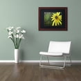 thumbnail image 3 of Trademark Fine Art "Black Eyed Susan" Canvas Art by Jennifer Redstreake Black Matte, Wood Frame, 3 of 3