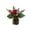 A, variant on Artificial Mini Potted Poinsettia Arrangement Christmas Tabletop Plant Decor Holiday Home Accent Design D