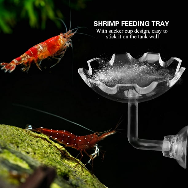 Acrylic Shrimp Feeding Dish Bowl Feed Food Tray Transparent Fish Feeder  Container Reptiles Water Food Dish With Sucker Cup For Fish Aquariums 
