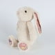 thumbnail image 1 of Jellycat 9.84" Bunny Soft Plushies Toys, Cuddly and Soft Stuffed Animals Plush Toys Doll Amuseables Aloe Vera, Birthday Gift for Kids, 1 of 4