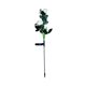 thumbnail image 2 of Fiudx Luces Solares para Jardín, 6 Rosas Artificiales Iluminadas, Flores de Eva Realistas, Energía Solar, Diseño Impermeable, Ideal para Jardín, Patio, Cementerio, Regalo Del Día de La Madre, 82 Cm d, 2 of 7