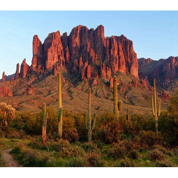 Jigsaw Puzzle for Adults, Sonoran Desert Sunset at Lost Dutchman State Park, 1000 Piece Wooden Puzzle, Serene Southwestern Landscape Art for Home Wall Decor