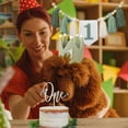 thumbnail image 3 of Silla alta Banner Wild One para fiesta de primer cumpleaños para niños, 3 of 7